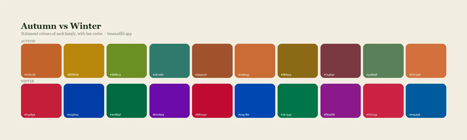 Autumn versus Winter colour families side by side: ten statement shades of each, with hex codes
