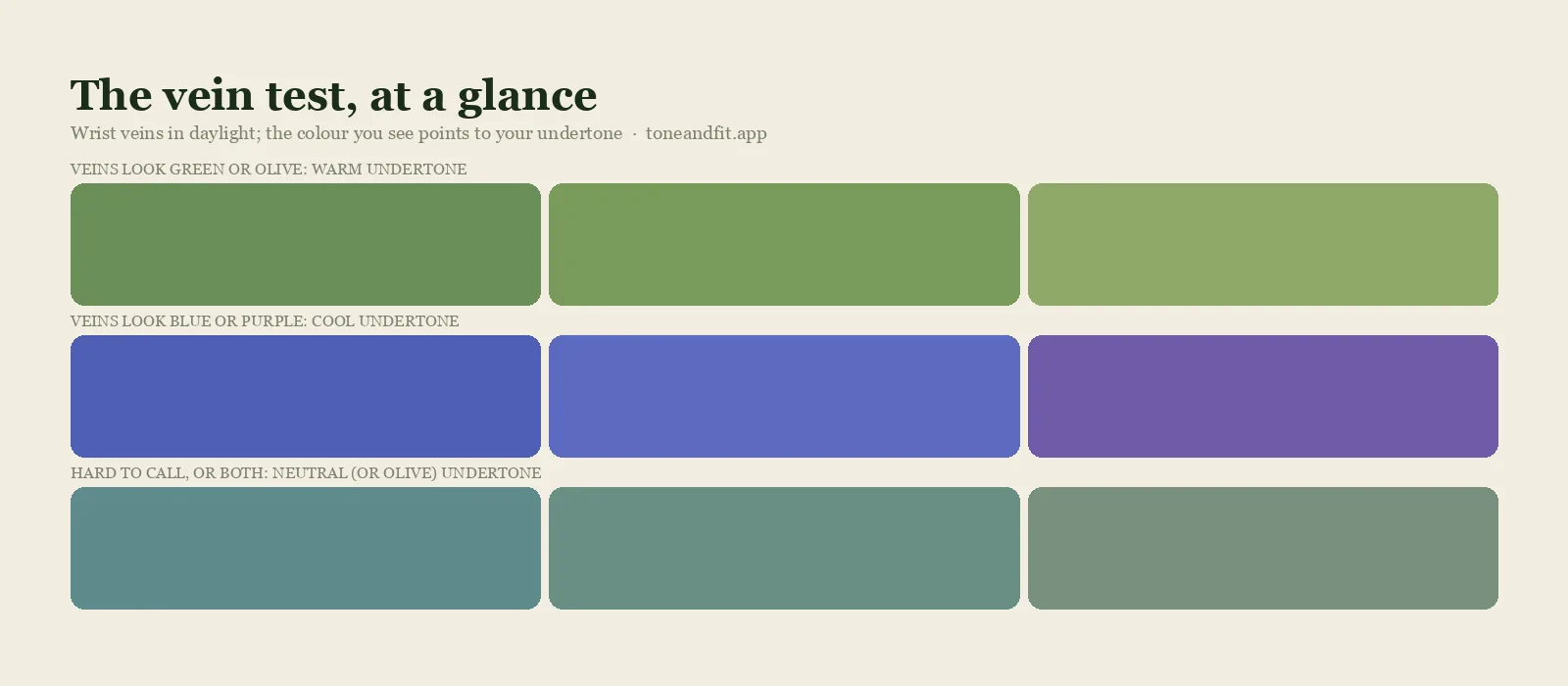 Vein test diagram: green or olive-looking wrist veins point to a warm undertone, blue or purple veins to a cool undertone, and a mix or hard-to-call colour to a neutral or olive undertone