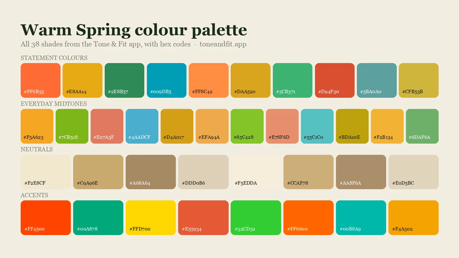 Warm Spring colour palette swatch board: all 38 shades from the Tone & Fit app with hex codes